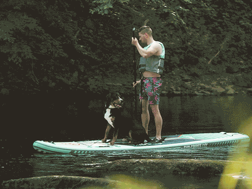 homme sur un paddle avec son chien